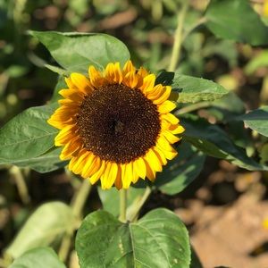 Meet your Posher, Stacy